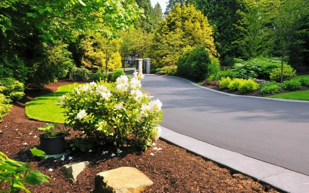 Have You Considered Driveway Paving Services?