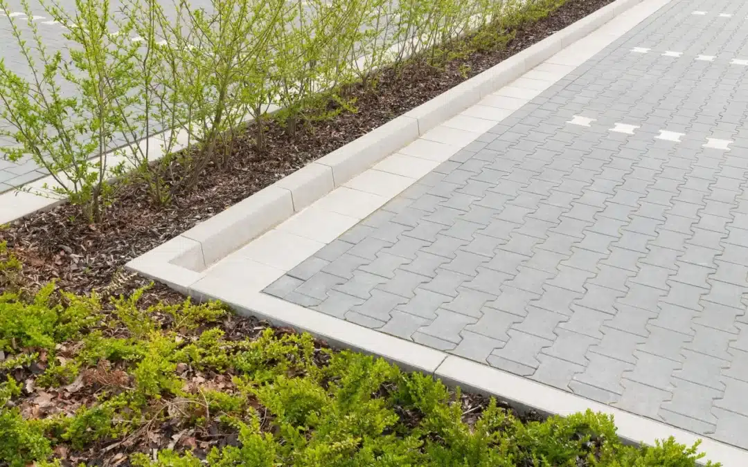 Factors That Influence Parking Lot Paving Design
