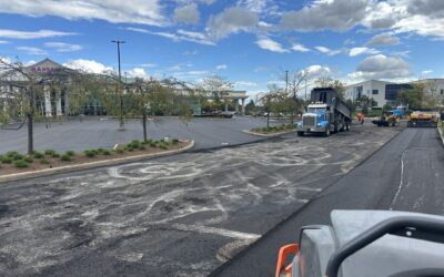 When to Repave or Replace Your Business Parking Lot